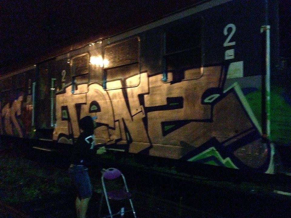 Graffiti Train - Photo by Dobraidelo