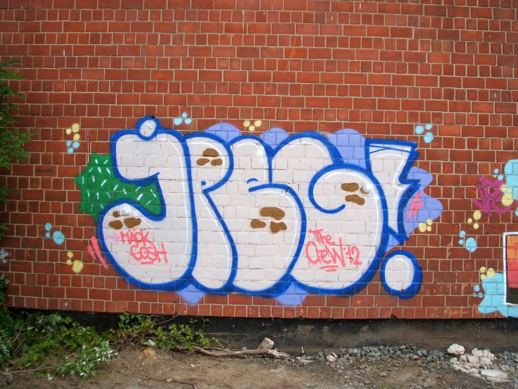 Graffiti Bombing in Dusseldorf - Photo by Doedelup - jpeg