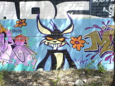 Graffiti Wall in Dusseldorf - Photo by Doedelup - Fkz (2006)