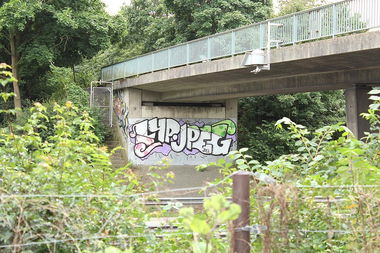 Graffiti Bombing in Mönchengladbach - Photo by Doedelup - jpeg, lyp (2013)