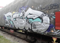 Photo #55444 by Belt