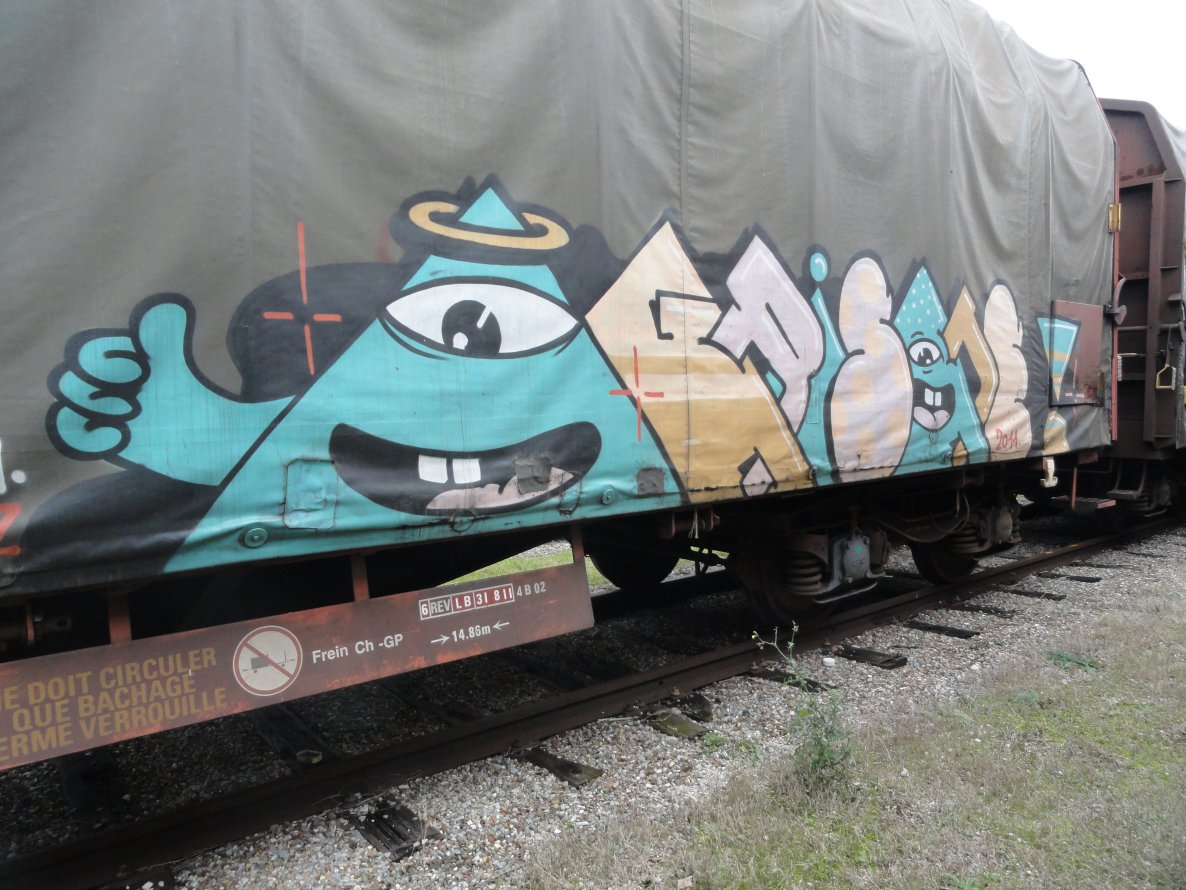 Graffiti Train - Photo by Doggy