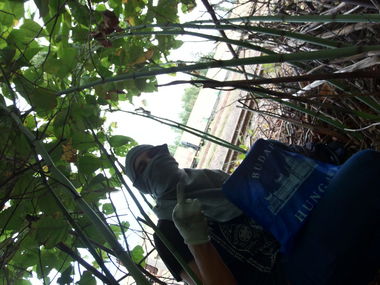 Graffiti Artwork in Budapest - Photo by Donszkoj - transwagon, budapest, hungary (2013)