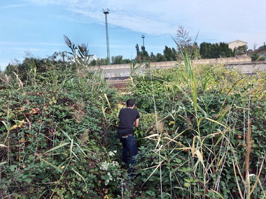 Graffiti Artwork in Budapest - Photo by Donszkoj - garden, train, hungary (2013)