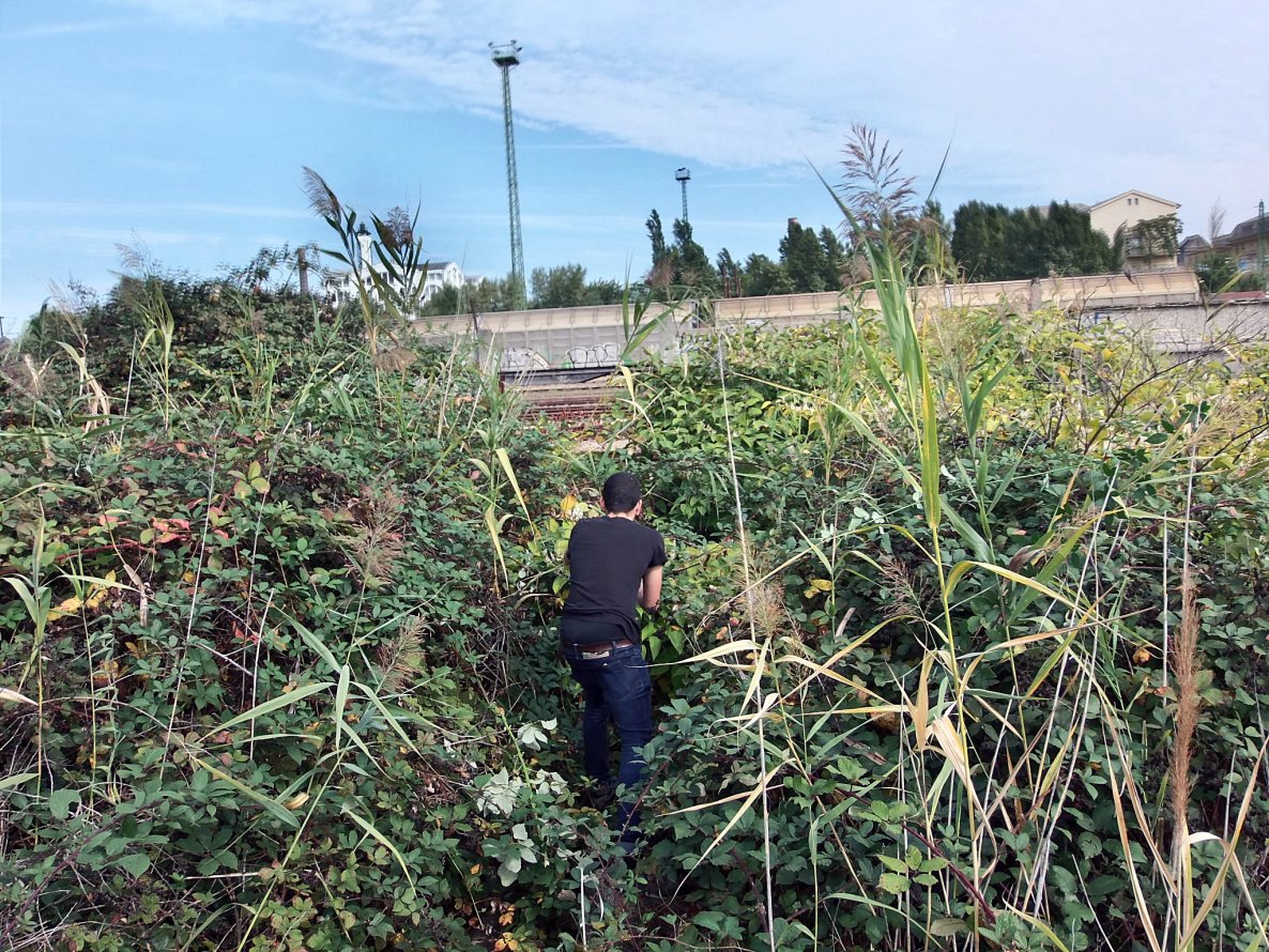 Graffiti Artwork in Budapest - Photo by Donszkoj - garden, train, hungary (2013)