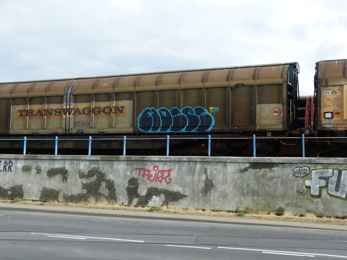 Graffiti Train in Dusseldorf - Photo by DoppelWhopper - MOSES, freight, fr8 (2013)