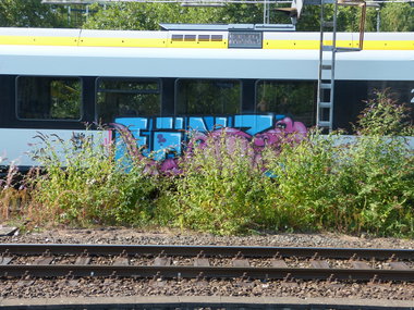 Graffiti Train in Dusseldorf - Photo by DoppelWhopper - Fönz, Föns (2013)