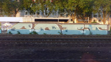 Graffiti Bombing in Dusseldorf - Photo by DoppelWhopper - cops (2012)