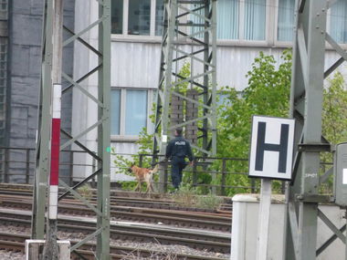 Graffiti Artwork in Dusseldorf - Photo by DoppelWhopper - Cops, ACAB, Polizei (2013)