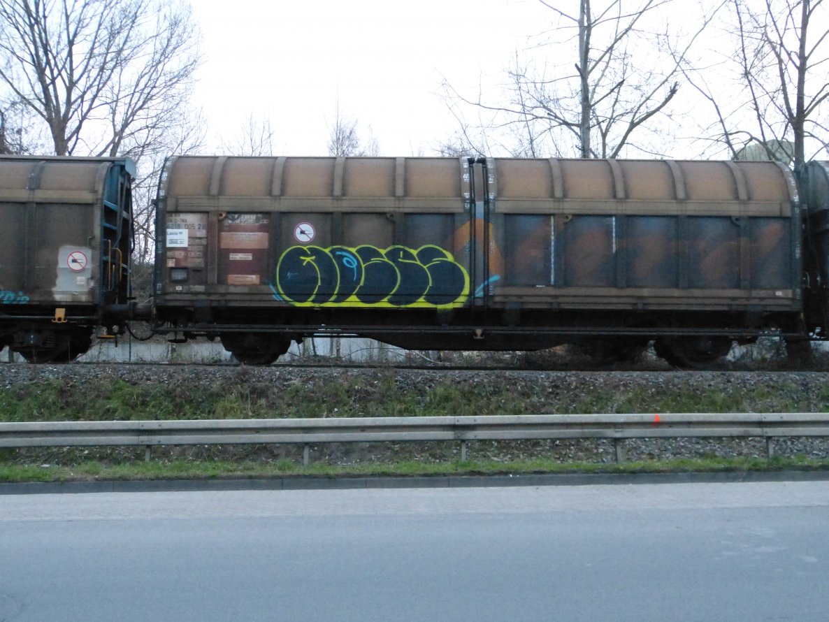 Graffiti Train in Dusseldorf - Photo by DoppelWhopper - moses, tm, freight (2013)