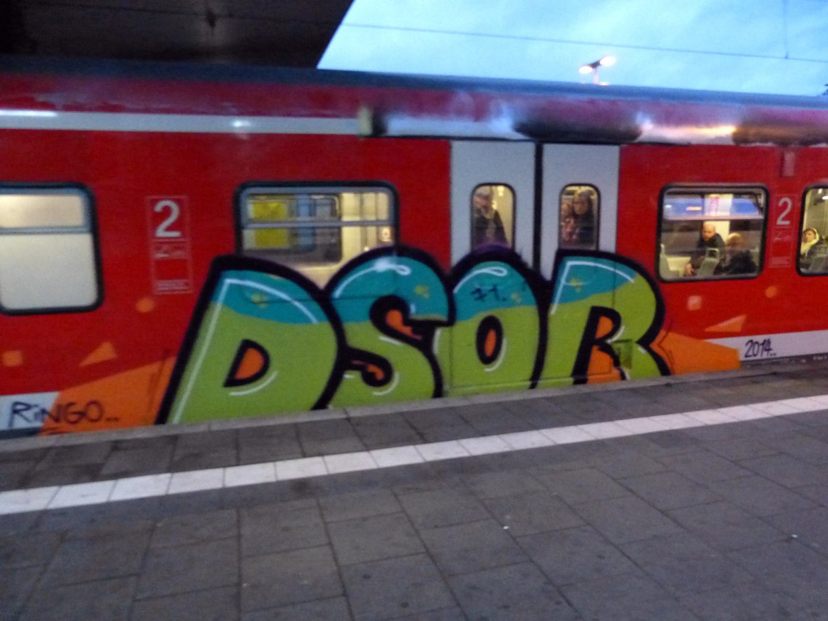 Graffiti Train - Photo by DoppelWhopper - Dsor, s6, shuke (2014)
