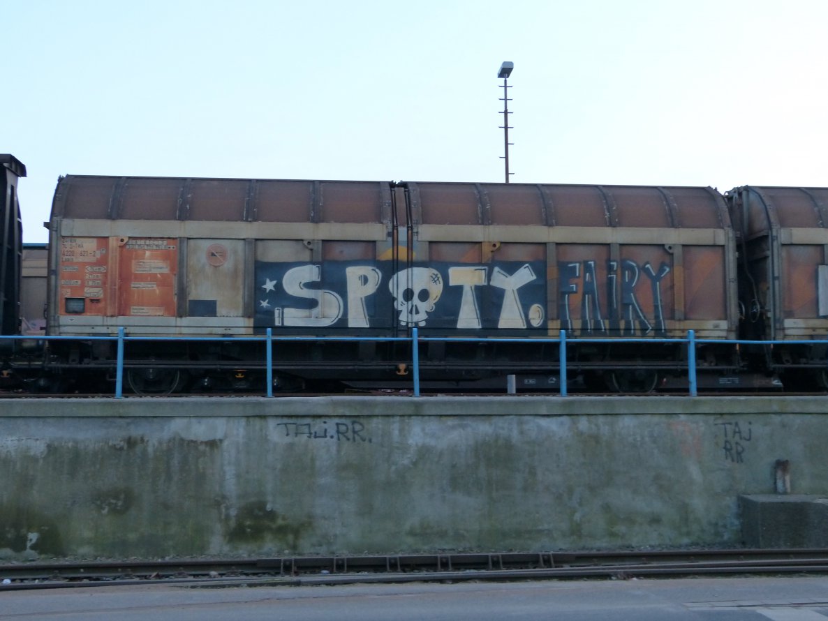 Graffiti Train in Dusseldorf - Photo by DoppelWhopper - Spoty, Fairy, freight