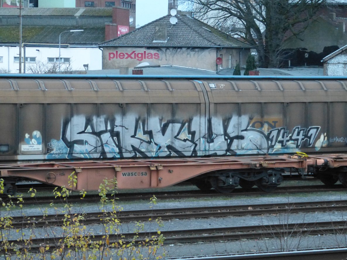 Graffiti Train in Dusseldorf - Photo by DoppelWhopper - SIRKUS, freight, fr8