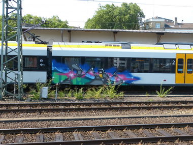 Graffiti Train - Photo by DoppelWhopper - Rois (2013)