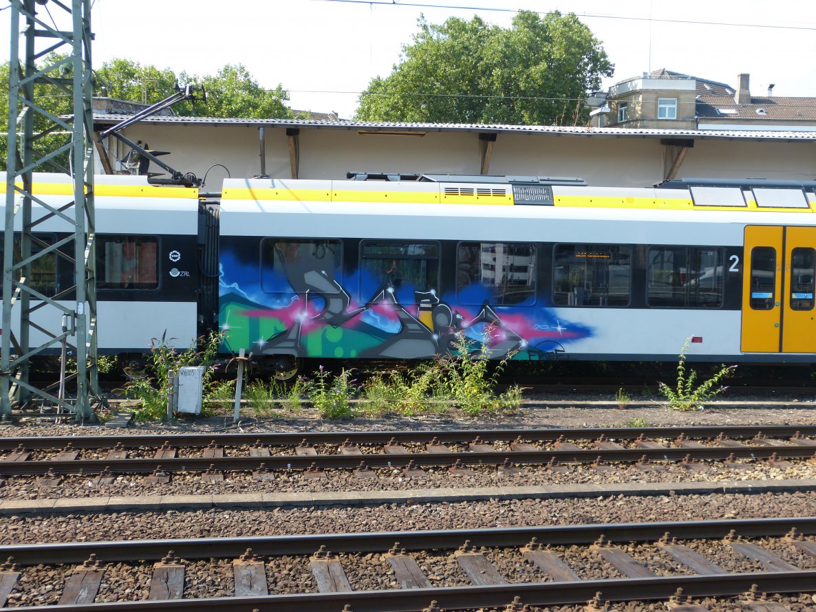 Graffiti Train - Photo by DoppelWhopper - Rois (2013)