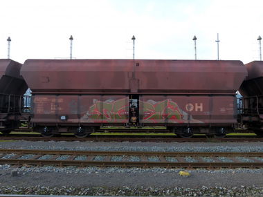 Graffiti Train - Photo by DoppelWhopper - osel, freight, fr8 (2012)