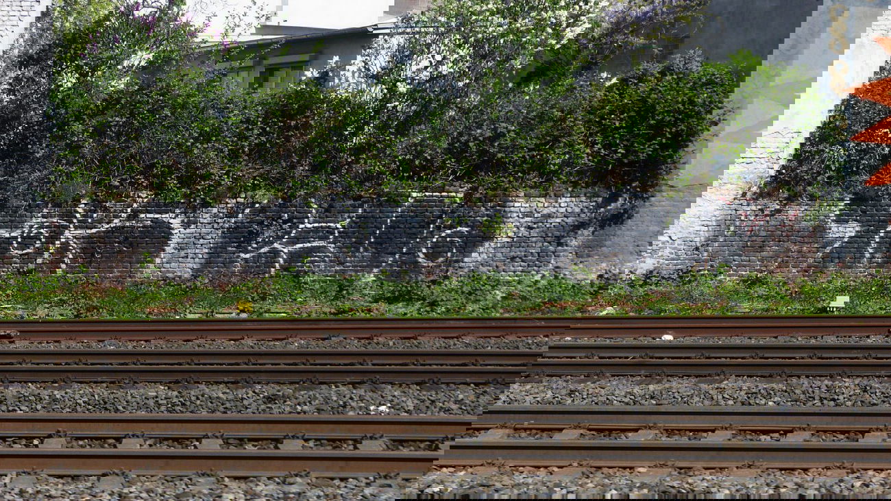 Graffiti Wall - Photo by DoppelWhopper - Taps, Revo, t-up (2014)