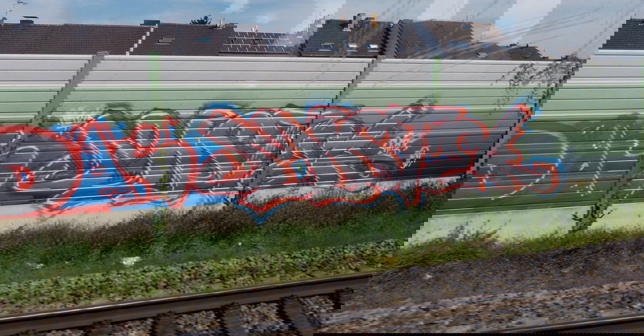 Graffiti Bombing - Photo by DoppelWhopper - Mister (2013)