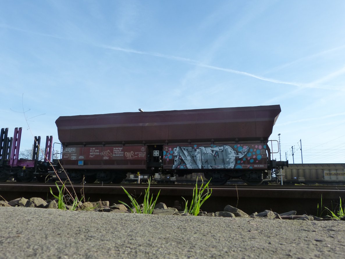 Graffiti Train in Dusseldorf - Photo by DoppelWhopper - Nurso, freight, fr8 (2014)