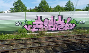 Graffiti Bombing - Photo by DoppelWhopper - AINS, FH (2012)