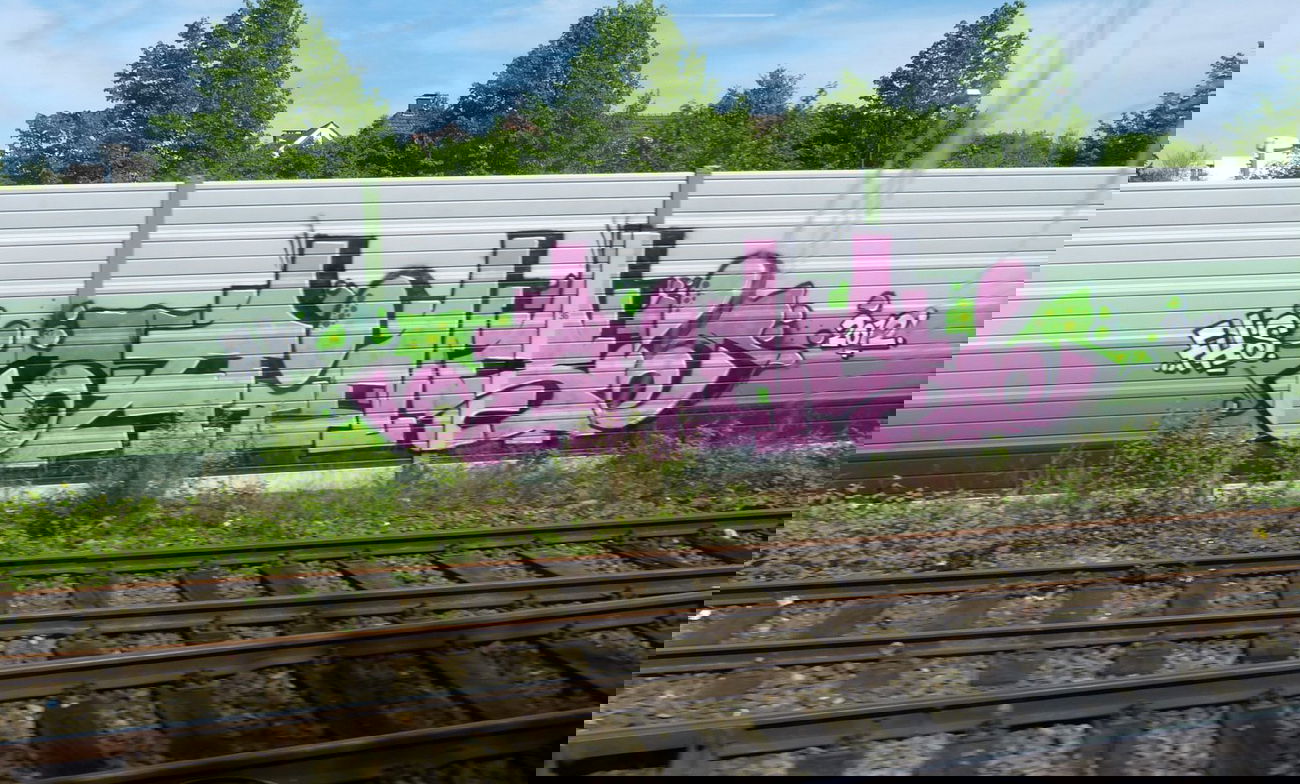 Graffiti Bombing - Photo by DoppelWhopper - AINS, FH (2012)