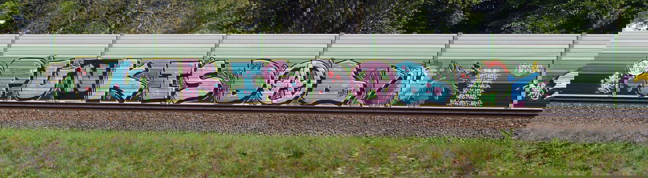 Graffiti Bombing in Neuss - Photo by DoppelWhopper - Pesk, Paps, Punk (2012)