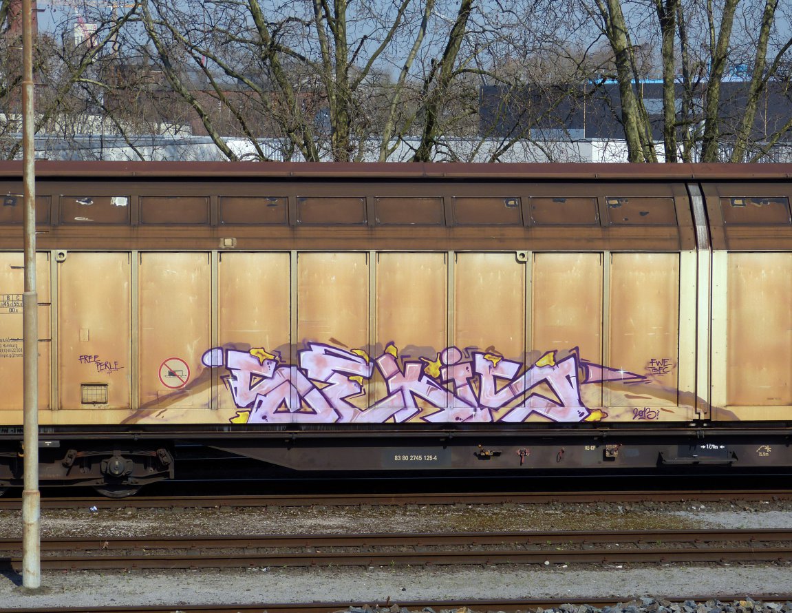 Graffiti Train - Photo by DoppelWhopper - Sekis, freight, fr8 (2013)