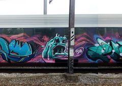 Graffiti Train - Photo by Dorfseufer69 - nuclear1, grtaffiti, trains (2016)
