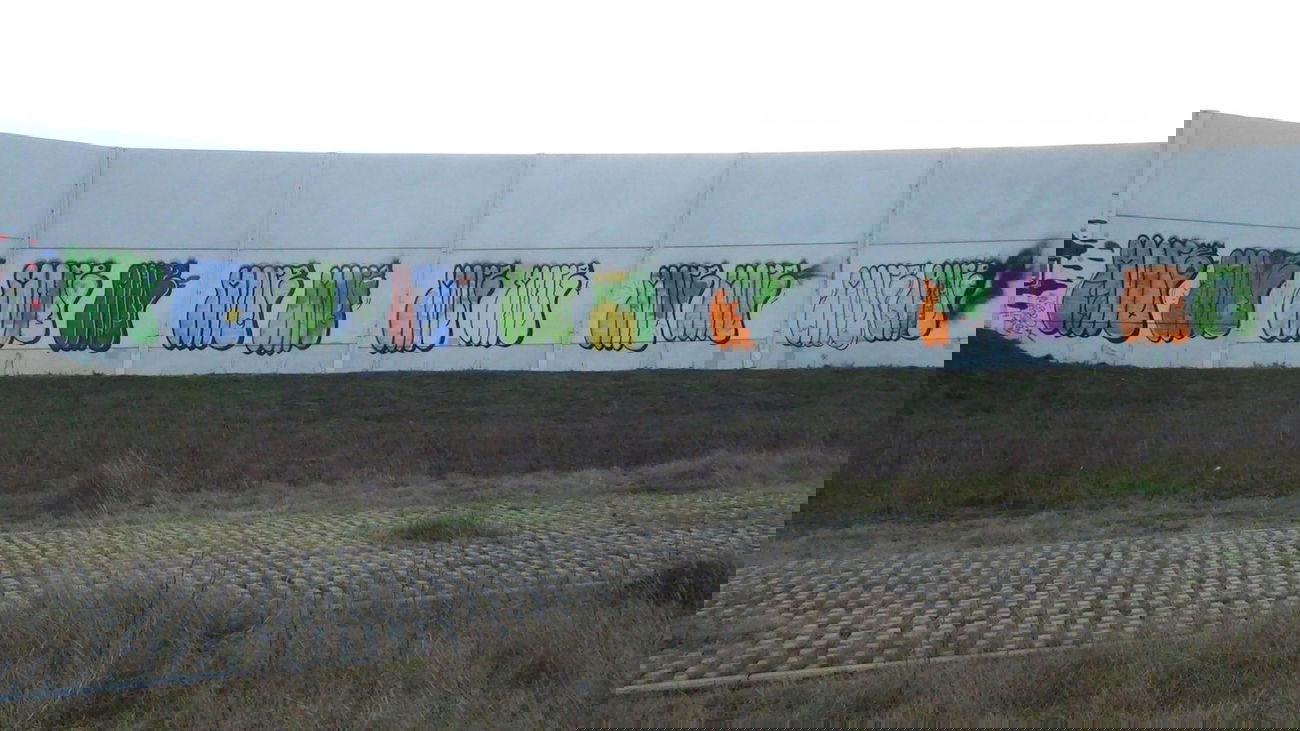 Graffiti Bombing - Photo by Dorfseufer69 - MORE, more, MORE