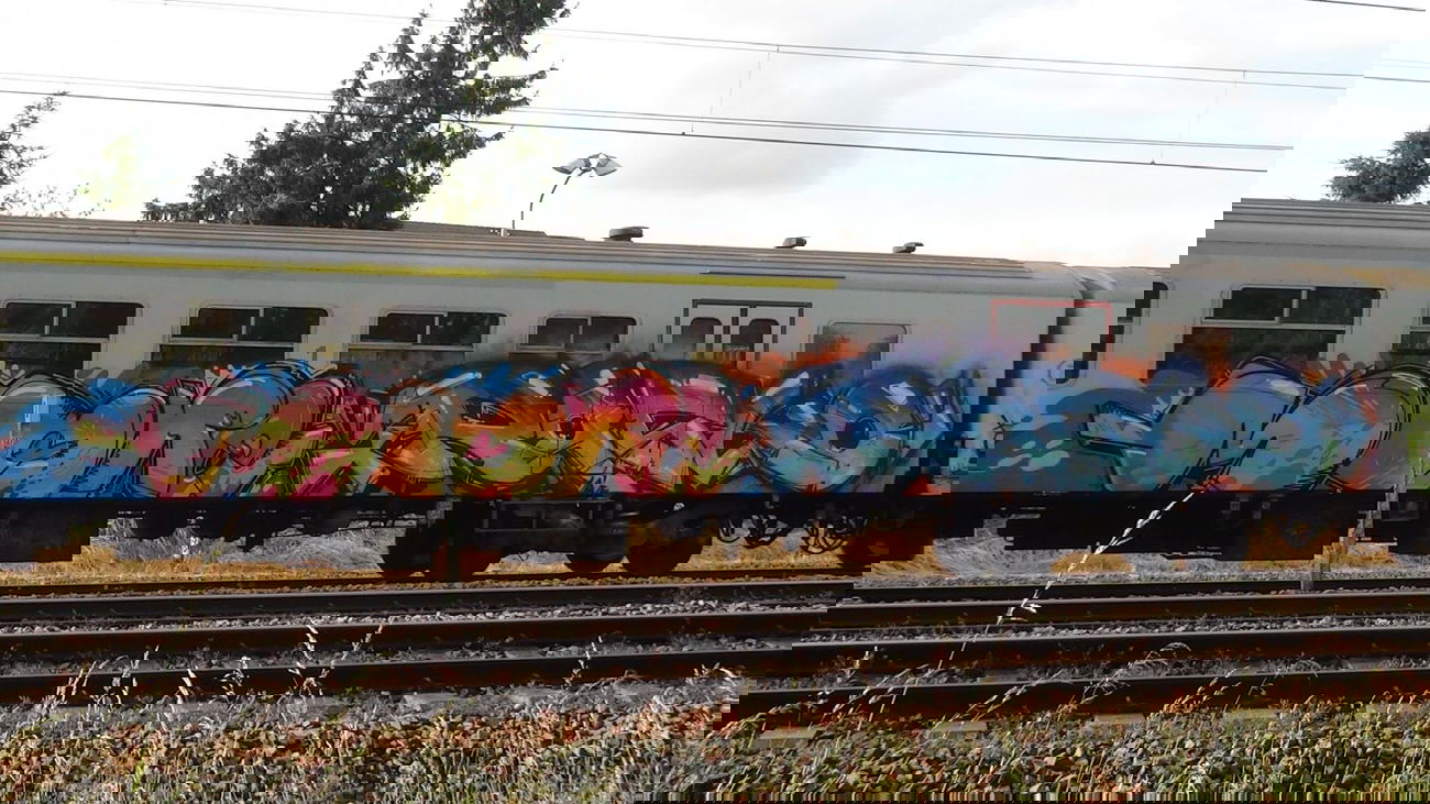 Graffiti Train - Photo by Dorfseufer69 - More, Rasko