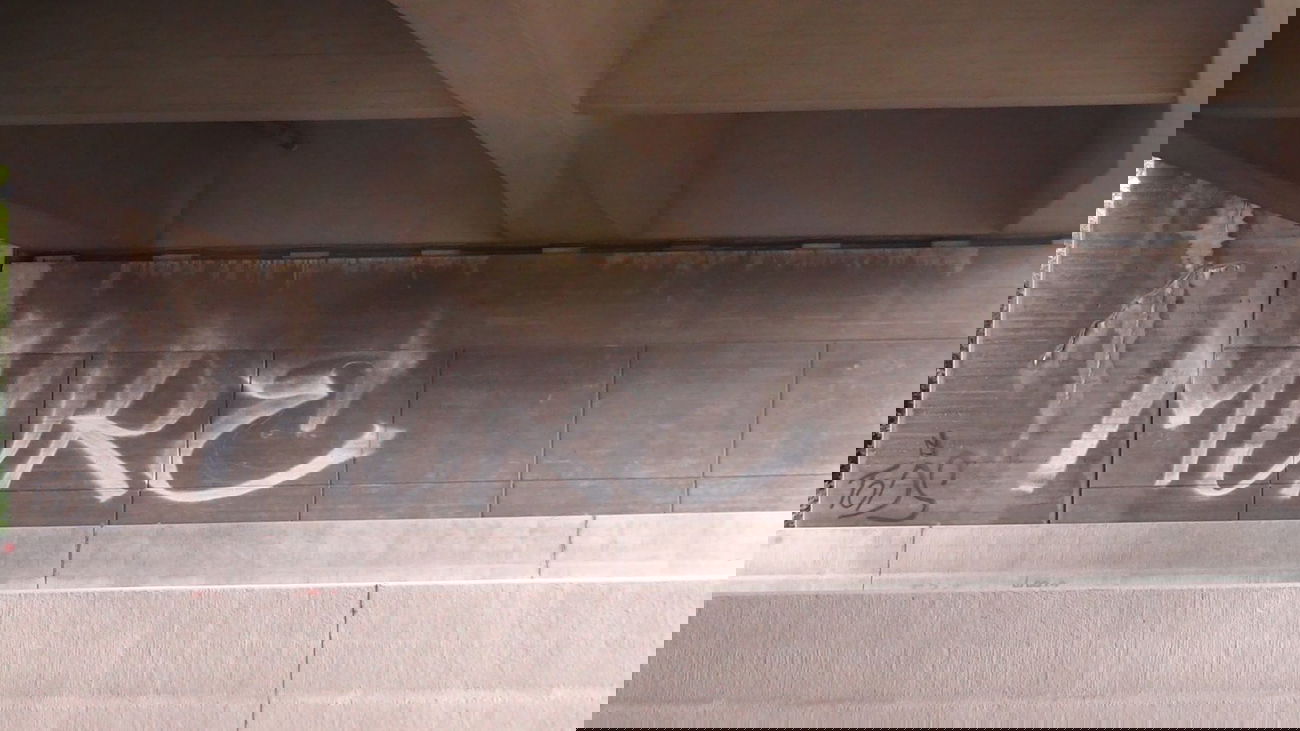 Graffiti Bombing - Photo by Dorfseufer69 - MORE, tods