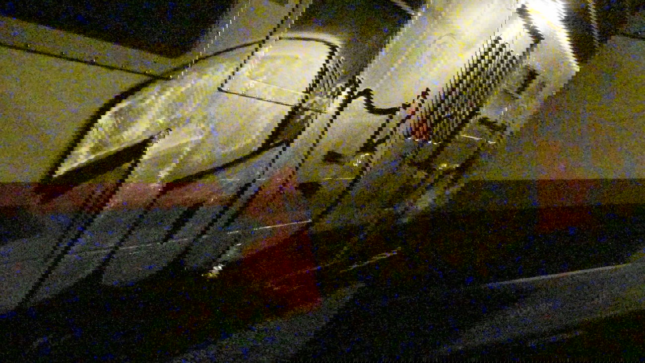 Graffiti Train - Photo by Dorfseufer69 - tods, tods