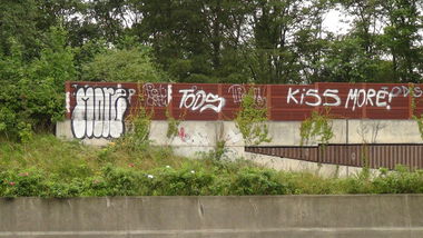 Graffiti Bombing - Photo by Dorfseufer69 - More