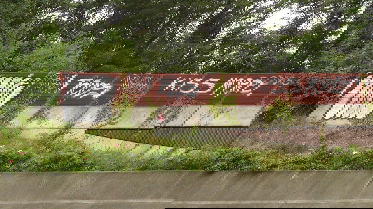 Graffiti Bombing - Photo by Dorfseufer69 - More