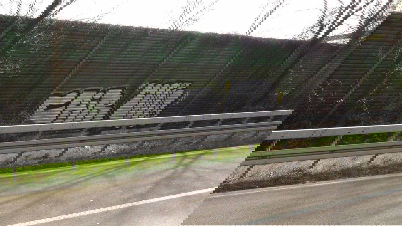 Graffiti Bombing - Photo by Dorfseufer69 - CAIR, MORE