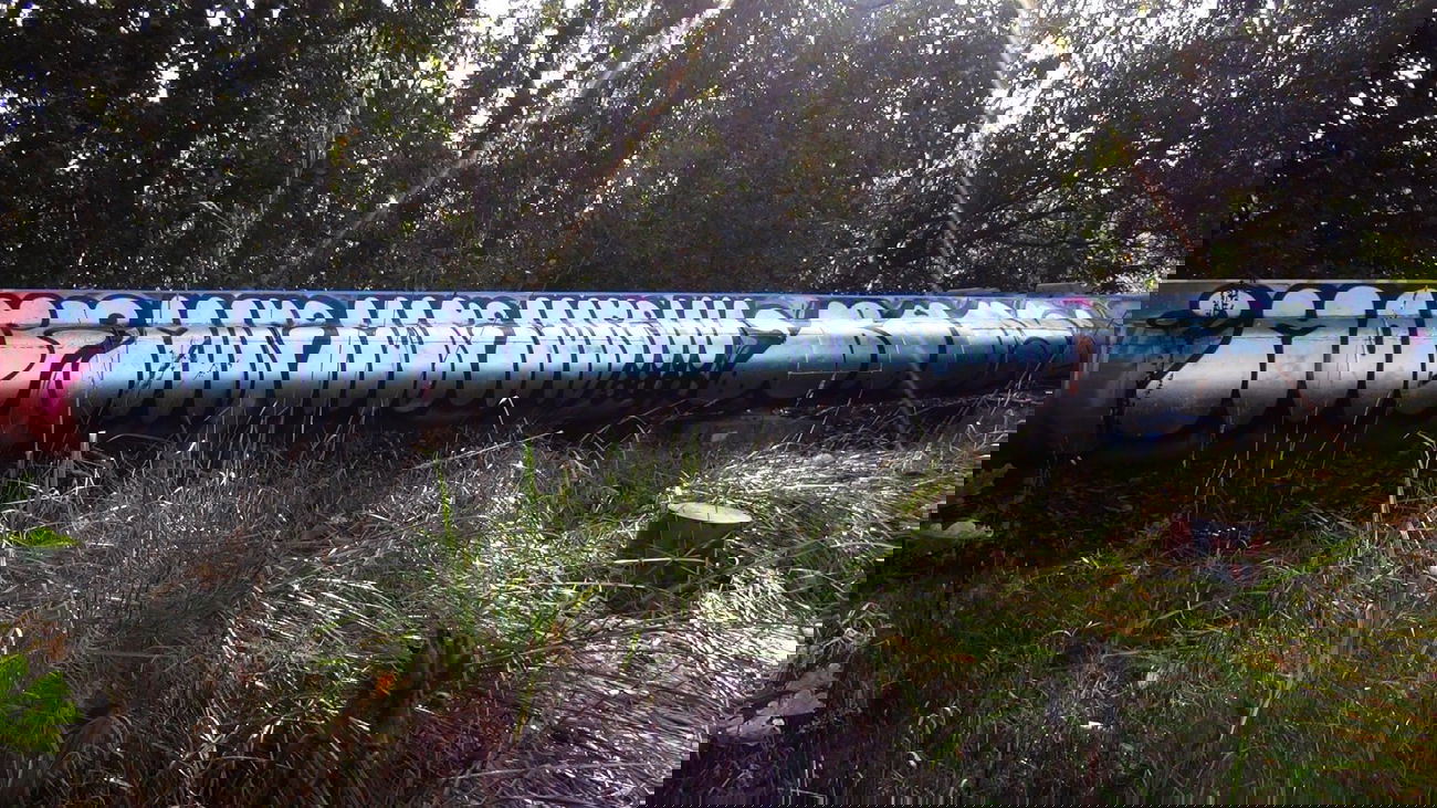 Graffiti Bombing - Photo by Dorfseufer69 - More, /, Buds (2014)