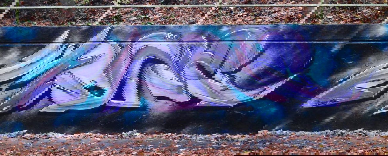 Graffiti Wall - Photo by Dorfseufer69 - Mr.More (2014)