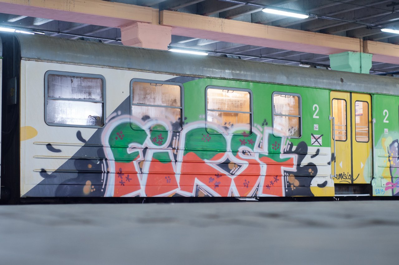 Graffiti Train - Photo by Dosamegorana (2013)