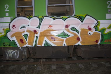 Graffiti Train - Photo by Dosamegorana (2013)