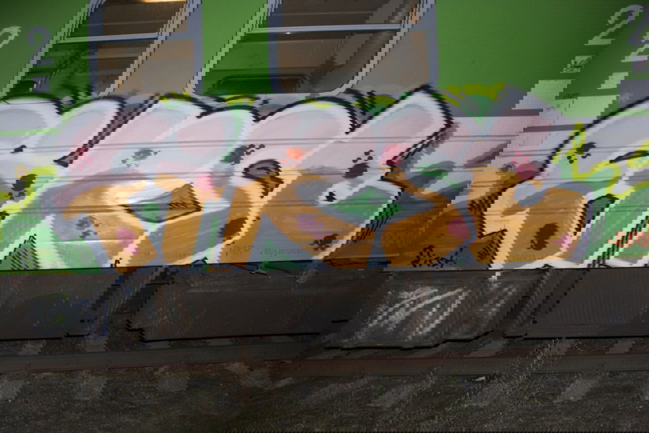 Graffiti Train - Photo by Dosamegorana (2013)