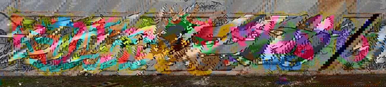 Graffiti Wall - Photo by Dosenwahn - Punk, Flash, Suspect (2013)