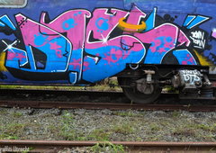 Photo #123133 by TagHagel