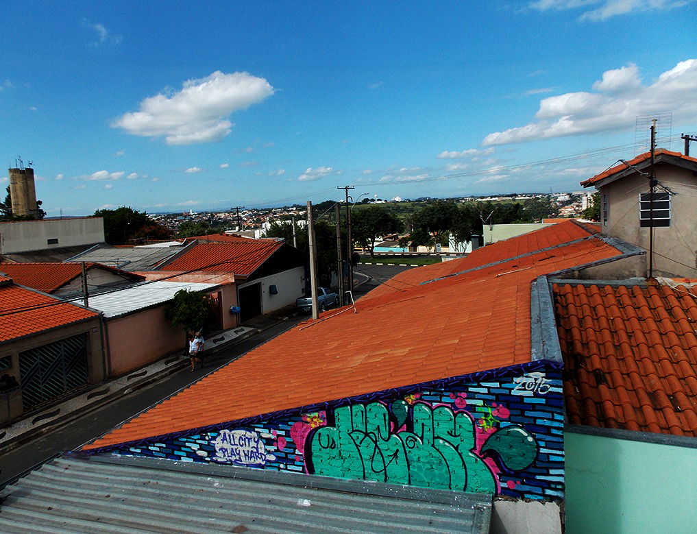 Graffiti Wall in Paulínia - Photo by Dream87 - Dream87 (2015)