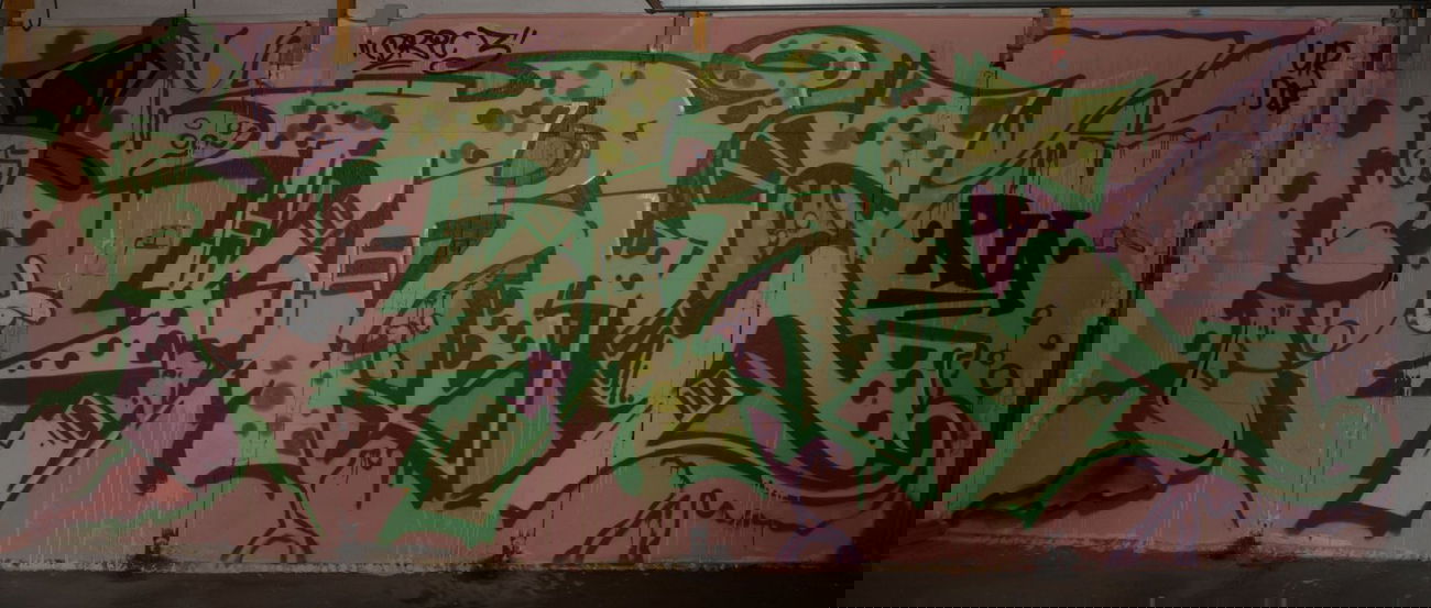 Graffiti Wall in Zittau - Photo by Dric3 - Dresden, RiaCrew, Spray (2014)