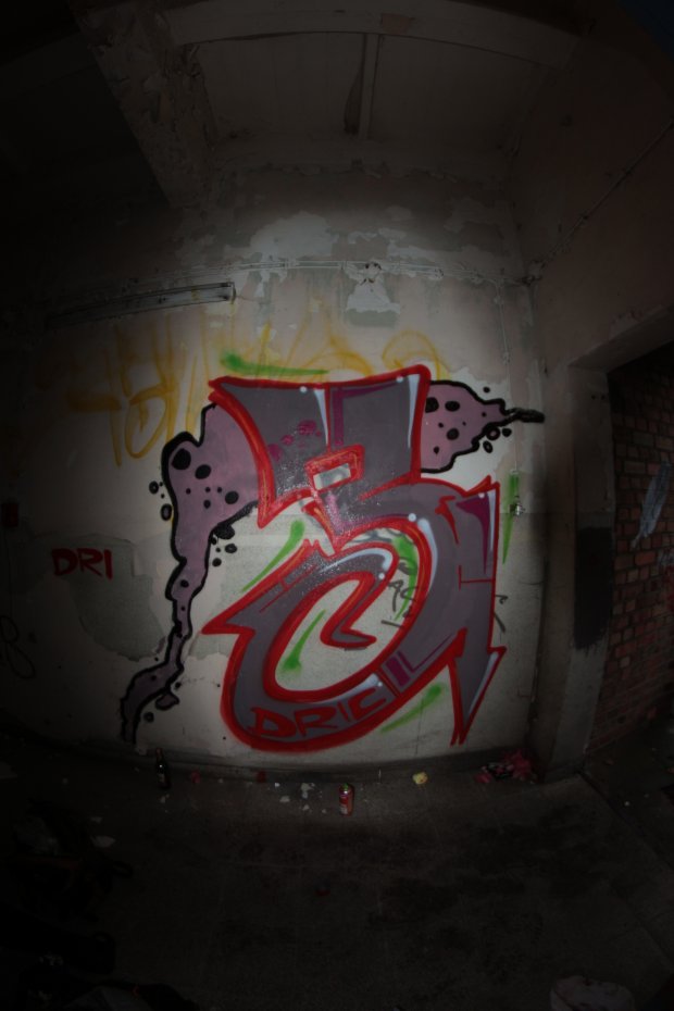 Graffiti Wall in Dresden - Photo by Dric3 - Abriss, House, Dresden (2014)