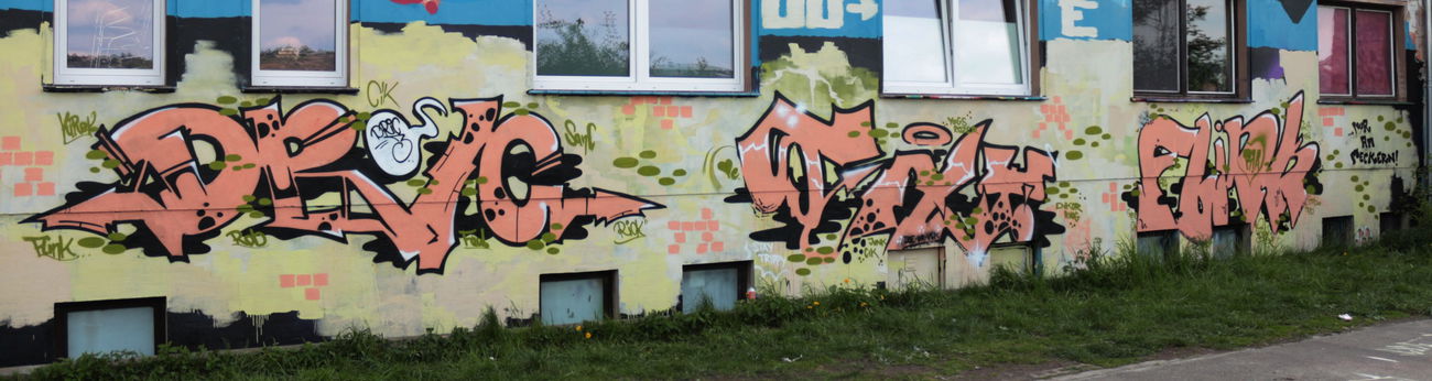 Graffiti Wall - Photo by Dric3 - Dric3, Flink, Radebeul (2015)