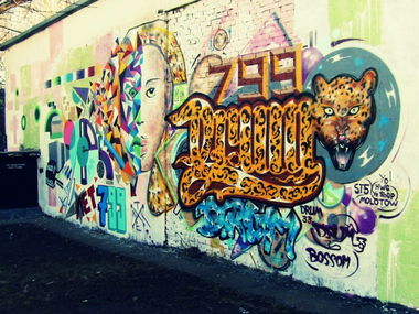 Graffiti Wall - Photo by Drum33 - Drum, Drum33, leopard (2013)