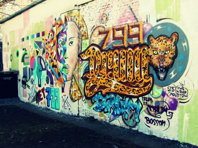 Graffiti Wall - Photo by Drum33 - Drum, Drum33, leopard (2013)
