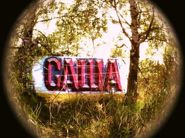 Graffiti Wall - Photo by Drum33 - Drum, Drum33, forest (2012)