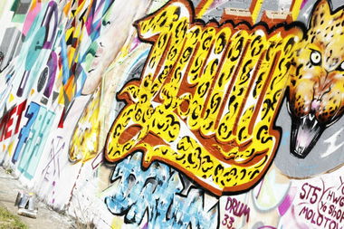 Graffiti Wall - Photo by Drum33 - drum, drum33, leopard (2013)